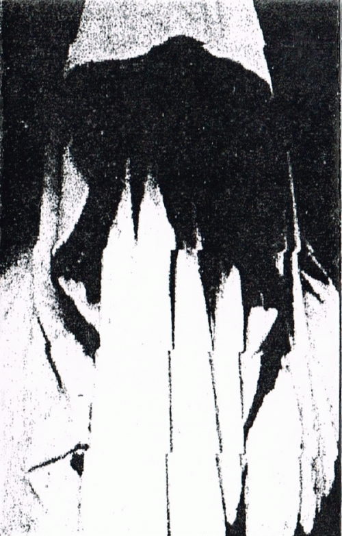 Winterblut : Promo 1998